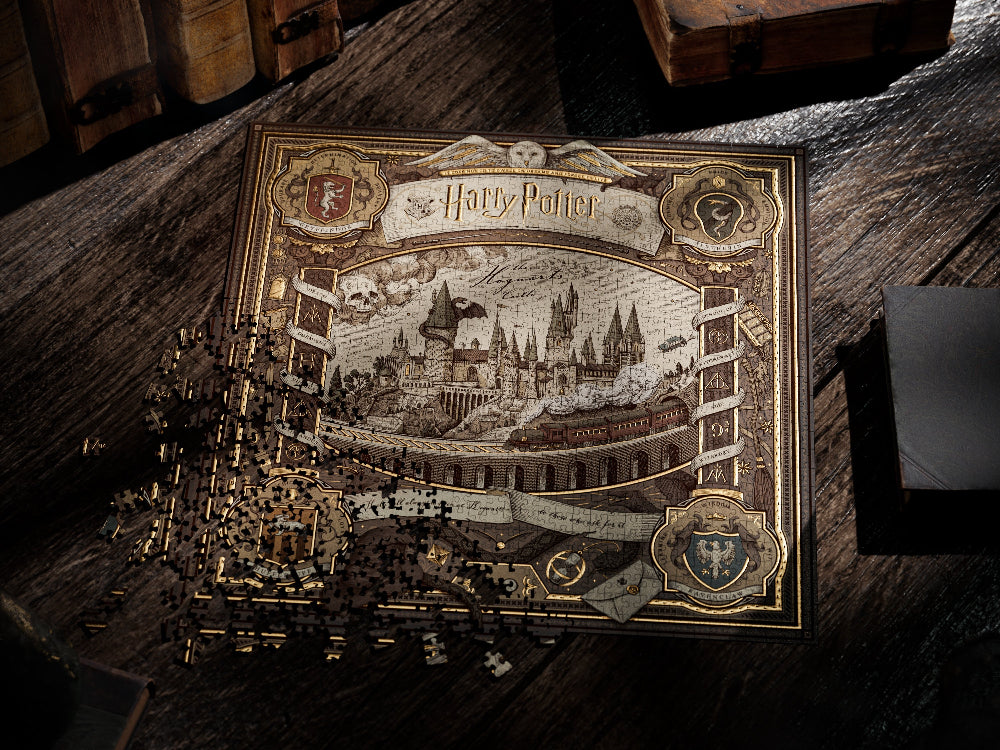 puzzle Harry Potter - Theory 11