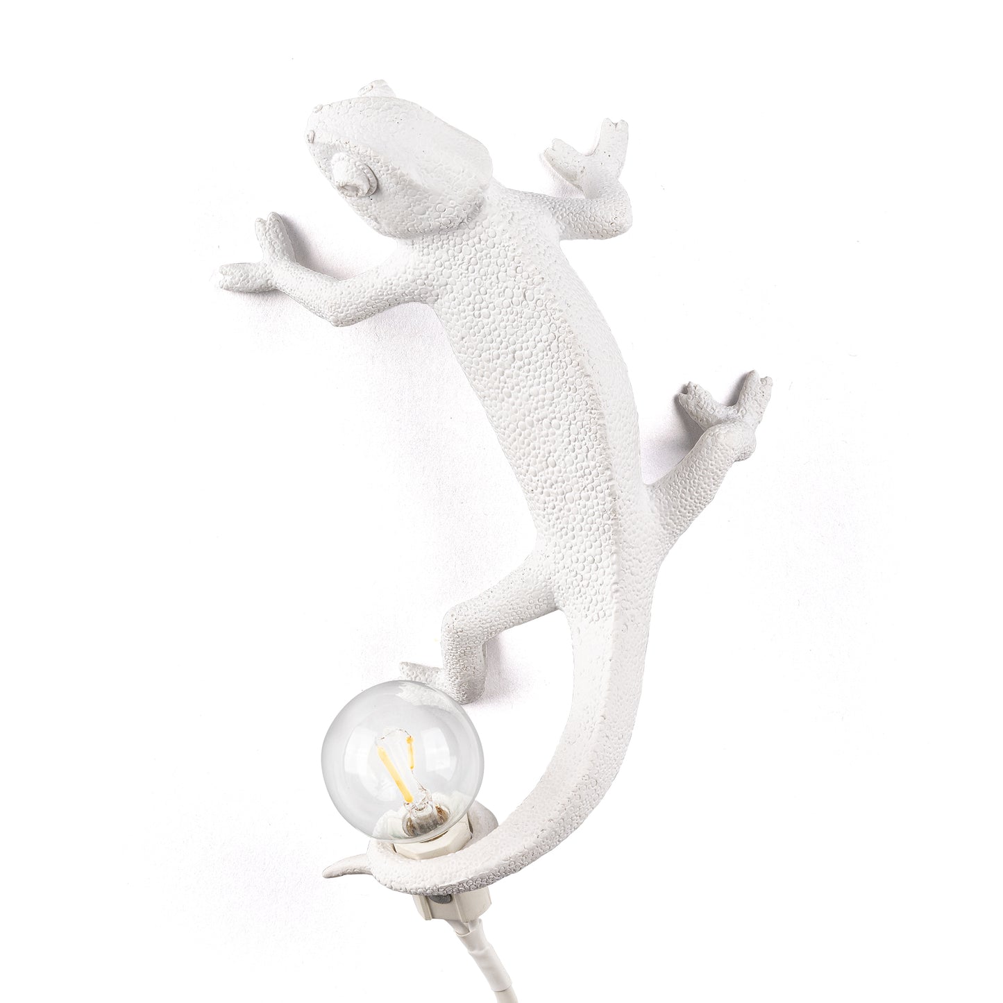 Going Up - Applique/Lampe à Poser Caméléon