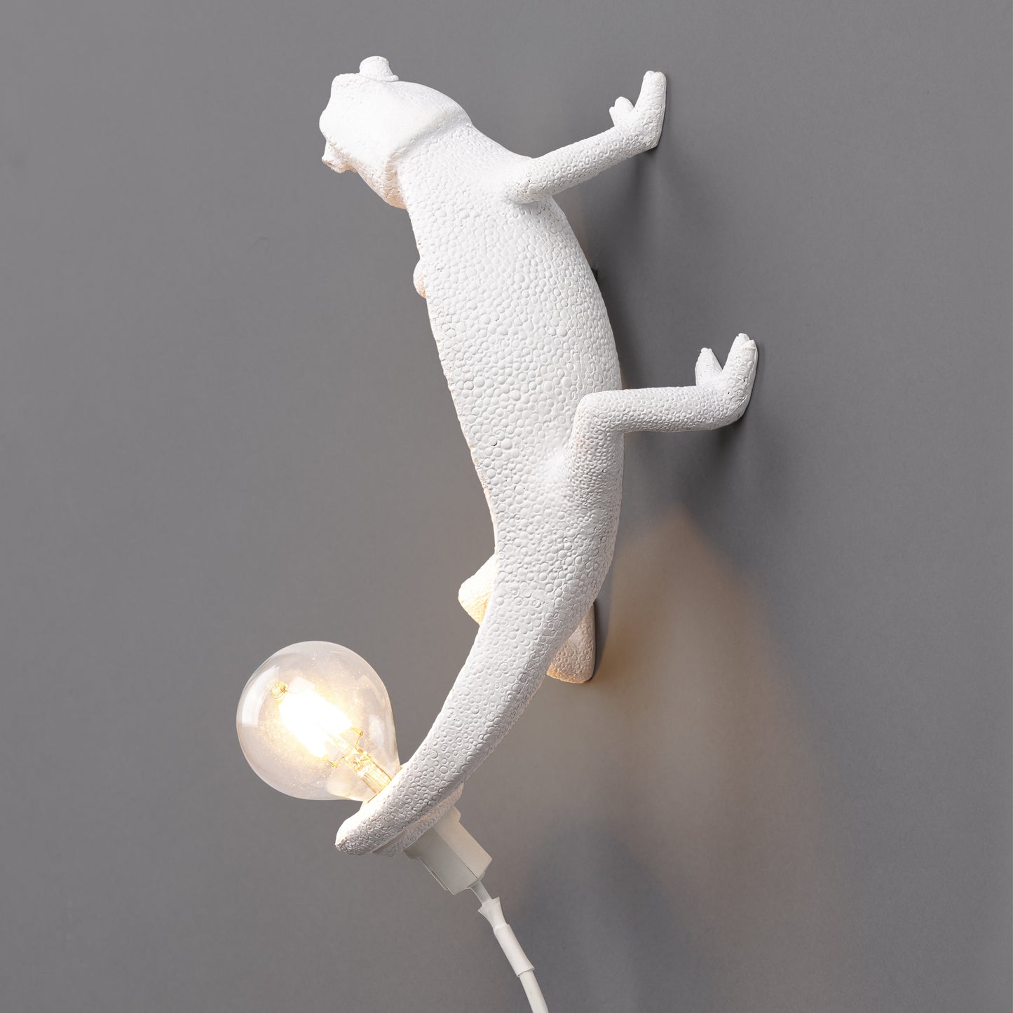 Going Up - Applique/Lampe à Poser Caméléon